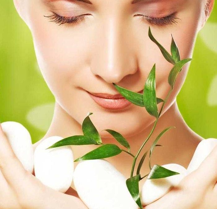 Aloe Vera y la depilación Láser