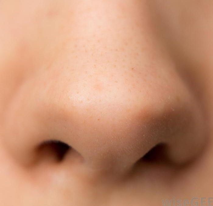 Depilación láser nasal